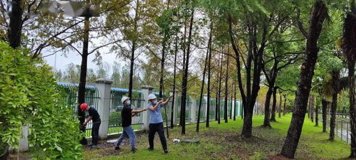 灿都 逼近上海,光明食品集团这样迎战