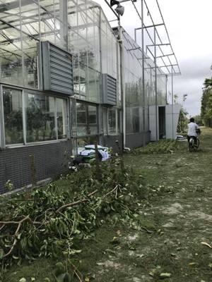 全面复工复产!斗门又跑出加速度,看完振奋!