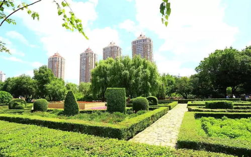 整治占道经营 开展园林绿化培训 为了三水更美丽,城管人也是蛮拼