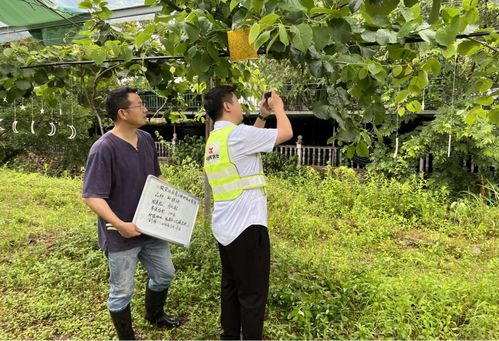 小微种植户有了保险,底气和信心更足了